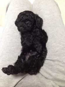 粗大黑 生活照,生活照中的独特魅力