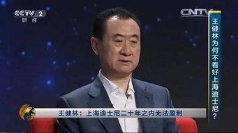 娱乐老总都有谁,揭秘当红娱乐老总的传奇人生