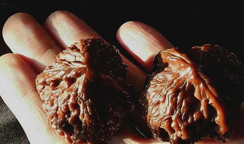 核桃娱乐,揭秘娱乐圈幕后故事，带你走进明星们的真实生活